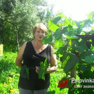 Людмила , 71 год
